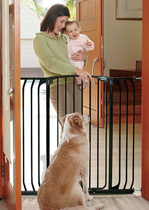 B1124_TALENTdog.jpg